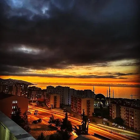 Golden Life