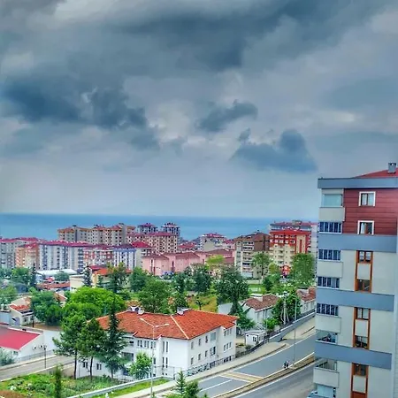 Golden Life 公寓式酒店 *